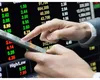 Bursa de Valori Bucureşti, randament uriaş pe criză. Câți bani ai fi câștigat dacă ai fi investit anul trecut