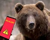 Mesaj Ro-Alert. Nu ieşiţi din case dacă vă aflaţi în aceste zone