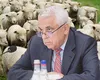 Petre Daea, după protestul oierilor: „Eu nu critic oaia seara și dimineața îi mănânc brânza”