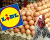Adevărul despre ouăle din Lidl. De unde provin, de fapt, și ce însemnă codurile 0, 1 și 2. Este obligatoriu să citești mereu eticheta