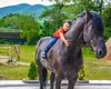 Călărie 2024. Unde pot iubitorii de cai să se bucure de ore și cursuri de echitație în apropierea Bucureștiului. Tarifele nu sunt pentru orice buzunar
