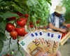 Ce salarii câștigă culegătorii de roșii din Germania și Austria în 2024. De aproape cinci ori mai mulți bani decât dacă ar lucra în România pe minimul pe economie