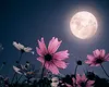 Universul pregătește ceva MAGIC pentru aceste două ZODII după Luna Plină Florală