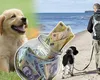 Câţi bani primeşti să tai frunze la câini în timpul liber. Se triplează salariul de la primul job!