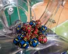 Rezultate loto duminică 11 mai 2025. Numerele extrase la tragerile Loto 6/49, Joker şi Noroc. Reporturi uriaşe înainte de alegeri!