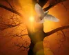 Zodiile care rup lanțul ghinioanelor: După Înălțare și până la Rusalii, urcă pe un val energetic pozitiv, cu bani făcuți ușor și noroc uimitor