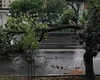 Furtuna a făcut pagube uriașe în București. A plouat într-o oră cât în două săptămâni: case și străzi inundate, copaci căzuți peste mașini