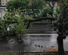 ULTIMA ORĂ. ANM a emis cod galben de vijelii, furtună cu putere de uragan. S-au emis deja 645 de alerte în 2025!