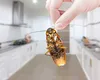 Cum scapi de gândacii de bucătărie? Soluția ieftină și naturală cu două ingrediente pe care le au toții românii în casă