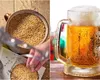 Metoda prin care îți prepara singur berea. Rețeta celei mai răcoritoare băuturi