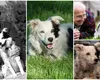 Povestea impresionantă a lui Chaser, cel mai deștept câine din lume, care a apărut pe coperțile revistelor alături de Brad Pitt și Katie Holmes