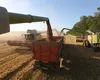 România este cel mai mare exportator european de cereale. A depășit Franța
