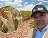 PSD ia măsuri pentru a susține financiar agricultorii cu producții afectate masiv de secetă