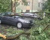 Mai mulți copaci au fost doborâți de furtună în București și Ilfov, marți seară. Ploile torențiale au produs pagube