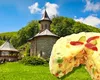 Salata de boeuf de post, reţeta de la mănăstirea Prislop. Cu ce ingredient se înlocuieşte carnea
