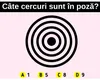 TEST IQ Numai geniile pot găsi toate cercurile din poză. Totul se întâmplă în mai puțin de 5 secunde