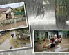 Alertă meteo de ultimă oră. COD GALBEN, risc mare de inundaţii