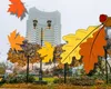 Mijloc de octombrie cu ploi și vreme rece, apoi temperaturile cresc. Prognoza meteo pentru 13 octombrie – 10 noiembrie