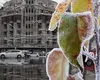Vreme deosebit de rece în cea mai mare parte a ţării, până la mijlocul săptămânii. Ploile cuprind întreaga ţară