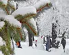 Turbionul polar afectează grav România. Temperaturile MAXIME scad sub 10 grade şi la Bucureşti. Ninsori, polei şi lapoviţă la multe, ploi abundente cu risc de acvaplanare în restul ţării
