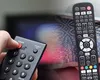 Analiză BRAT privind consumul media: Urşii de canapea petrec 265 de minute pe zi la TV, Ciocănitorile neobosite au cel mai înalt statut social iar Maimuţele sociale – cele mai conectate la online. Ce fac cămilele minimaliste şi oile responsabile!
