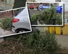 Amenzi uriașe pentru aruncarea necorespunzătoare a bradului de Crăciun. Ce se întâmplă cu pomii depozitați lângă ghenele de gunoi