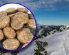 Horoscop rune 11 octombrie 2025. WUNJO, runa bucuriei şi a protecţie totale, binecuvântează o zodie, iar DAGAZ ţine lumina divină aprinsă