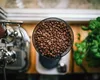 De ce merită să ții boabe de cafea în dormitor – un truc simplu cu efecte surprinzătoare