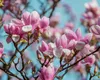 Prognoza meteo Accuweather pentru aprilie. Meteorologii anunță temperaturi nemaiîntâlnite