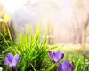 Evenimente astrologice APRILIE 2025. Lună-punte între vechi și noum, Universul are planuri cu fiecare
