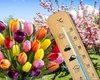 Prognoza meteo 30 aprilie. Vreme caldă în toată țara. Spre sfărșitul săptămânii revin ploile torențiale cu grindină și vijelii