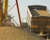 Exporturile de cereale ale UE, în scădere puternică. România a fost cel mai mare exportator