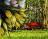 PROGNOZA METEO. Duşuri reci, vremea suferă oscilaţii de la o zi la alta. Aversele nu ocolesc Bucureştiul