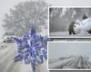 Peisaj de iarnă în România la mijloc de martie. Reven ninsorile, ploile și temperaturile sub prag de îngheț. De când se încălzește