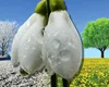 Prognoza meteo 20 martie. Temperaturi de îngheț dimineața și noaptea, vreme de primăvară ziua