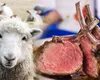 Ce se întâmplă cu mielul autohton de Paște, din cauza focarului de pestă. Cât va ajunge să coste kilogramul de carne în 2025