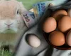 Se anunță un Paște mai scump ca niciodată pentru români! Prețurile la ouă au explodat din cauza gripei aviare