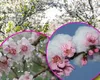 Cum protejezi pomii fructiferi de ger în zilele cu temperaturi scăzute