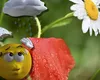 Prognoza meteo 24 martie 2025. Început de săptămână foarte călduros, cu o maximă de 22 de grade. Vor fi, în schimb, ploi în mai multe zone