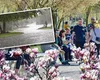 PROGNOZA METEO. Primăvară ploioasă, ANM a actualizat hărţile pentru prima parte a lunii aprilie 2025