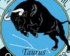 Horoscop special: Soarele in TAUR 2025. Scufundă-te în natura, mergi în retrageri spirituale, lasa jos radarul stresului zilnic