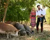 Vlad Miriță susţine conceptul de nutriţie “animale pășunate, oameni sănătoși”