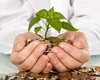 3 ZODII atrag succesul financiar după intrarea SOARELUI în TAUR 