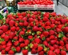 Primele căpșuni românești au apărut la tarabe în piețe. Sunt mai scumpe decât un kilogram de carne