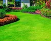 Ce trebuie să faci în luna mai pentru a avea un gazon sănătos