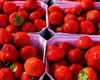 Căpşunile româneşti „dulci şi aromate”, la fel de scumpe ca mielul de Paşte. Trufandalele au preţ enorm în pieţe din cauza îngheţului
