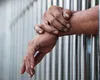 Țara cu cele mai ciudate legi de pe glob. Poți intra la închisoare dacă nu îți plimbi câinele suficient. Minciuna, considerată mai gravă decât violența fizică