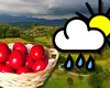Prognoza meteo. Furtuni electrice, averse şi vânt, vremea se strică de miercuri