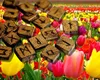 Horoscop rune 24 aprilie 2025. Ce zodie are parte de protecţia totală a WUNJO. Fehu, Ansuz sau Jera vin cu mesaje care încurajează curajul, introspecția și transformarea