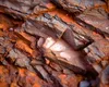 Descoperirea secolului! Zăcământul de 55 de miliarde de tone ar putea urca această ţară în topul marilor puteri economice